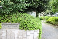 野川緑地公園　入口